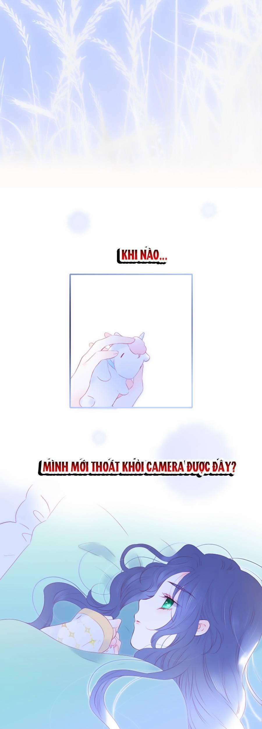 Hoa Bỏ Chạy Với Nhím Rồi 67 trang 29