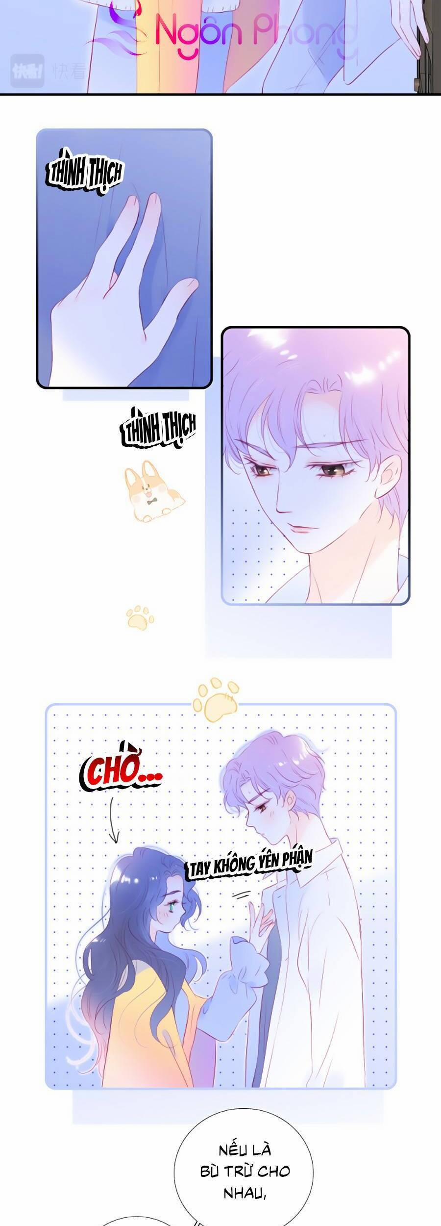 Hoa Bỏ Chạy Với Nhím Rồi 72 trang 17