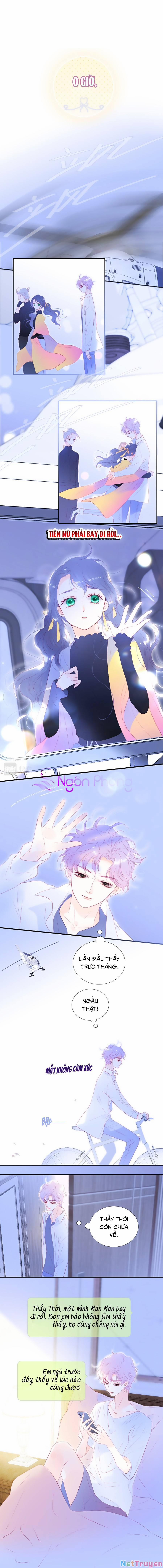 Hoa Bỏ Chạy Với Nhím Rồi 73 trang 0