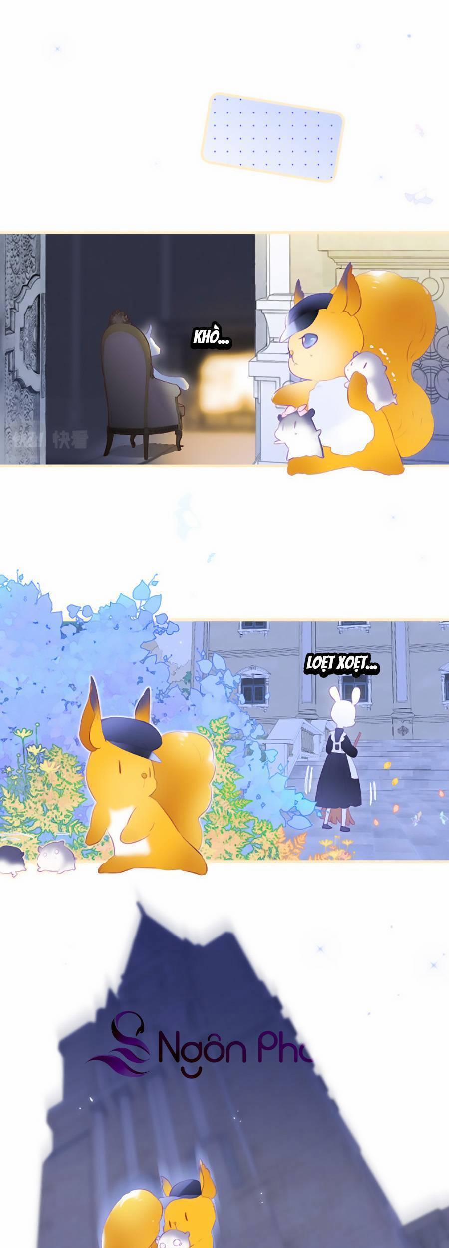 Hoa Bỏ Chạy Với Nhím Rồi 74.5 trang 1