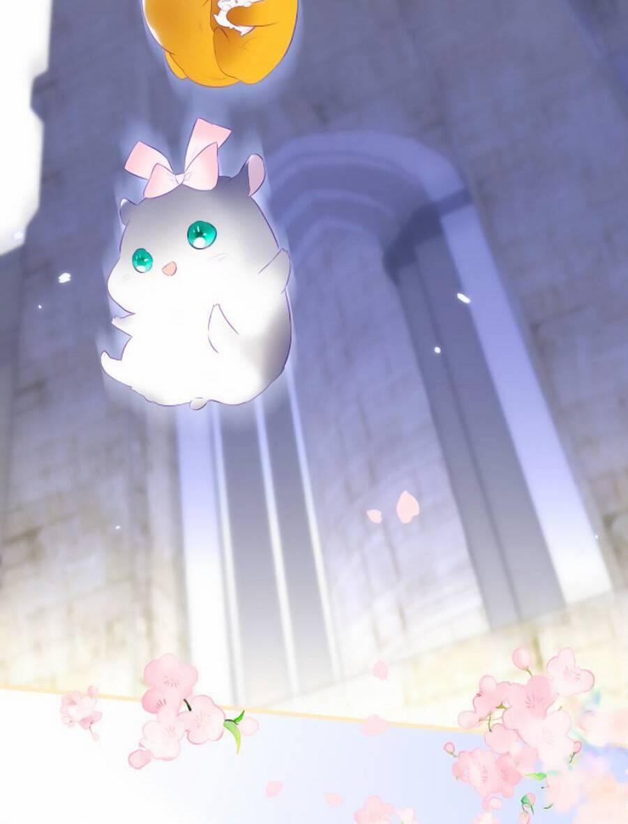 Hoa Bỏ Chạy Với Nhím Rồi 74.5 trang 2