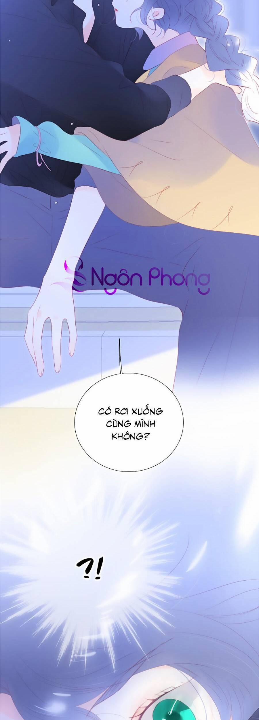 Hoa Bỏ Chạy Với Nhím Rồi 75 trang 28