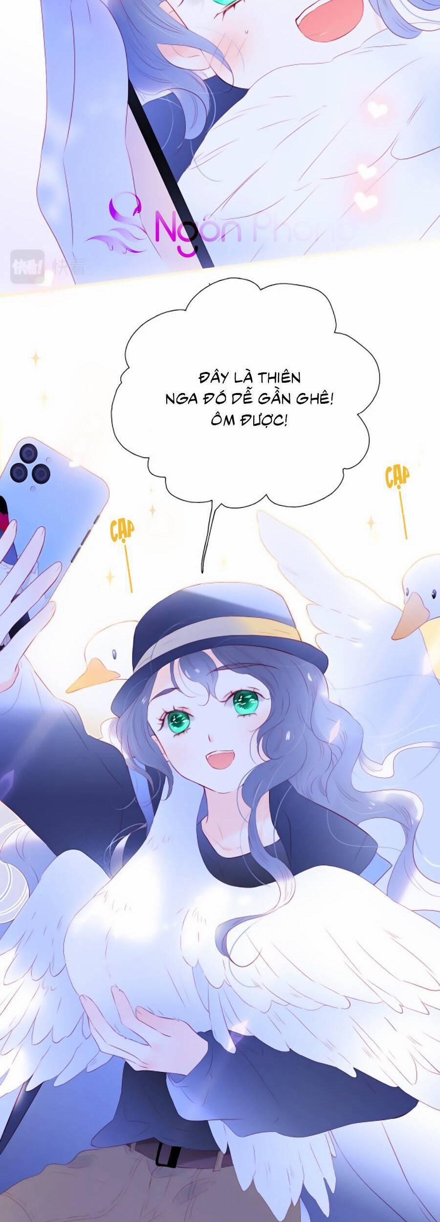 Hoa Bỏ Chạy Với Nhím Rồi 77 trang 12