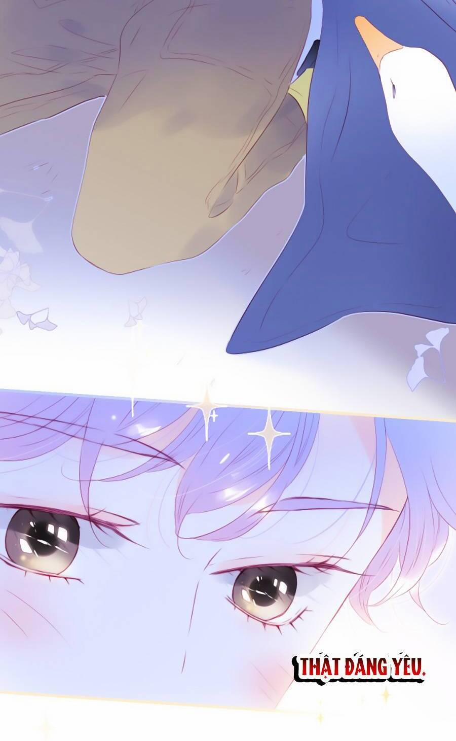 Hoa Bỏ Chạy Với Nhím Rồi 77 trang 13