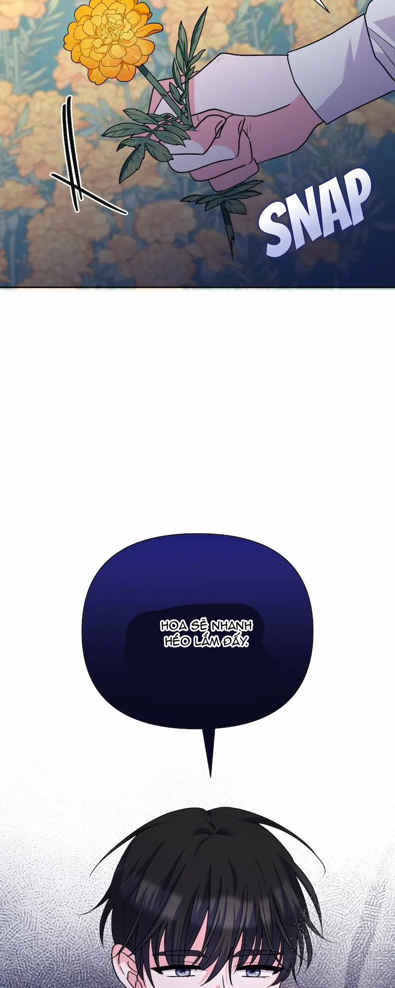 Hoa Cúc Trong Lồng 46.1 trang 16