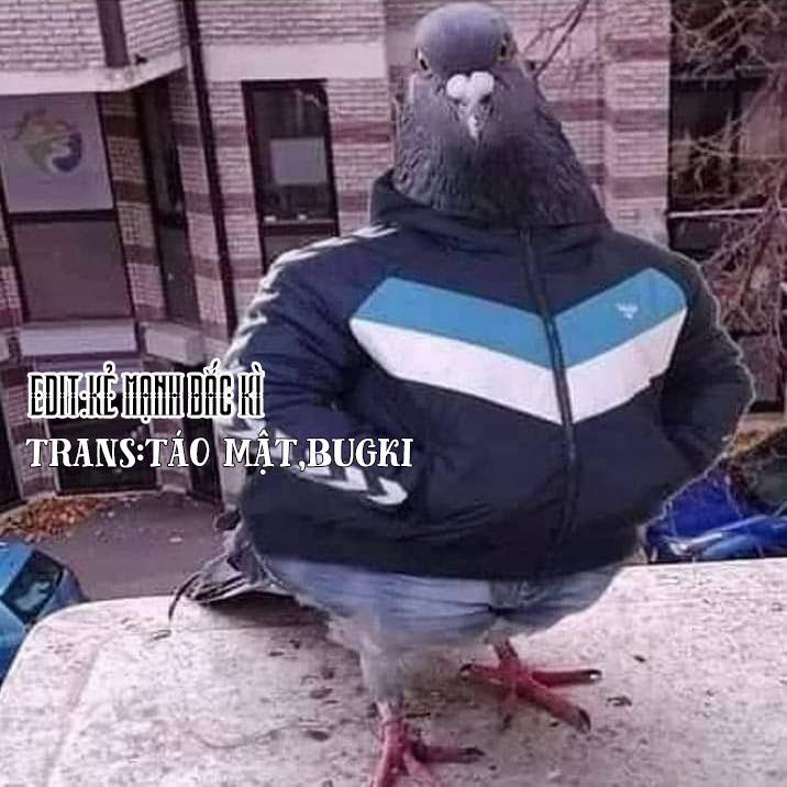 Hoa dã quỳ tím Oneshot nứng trang 0