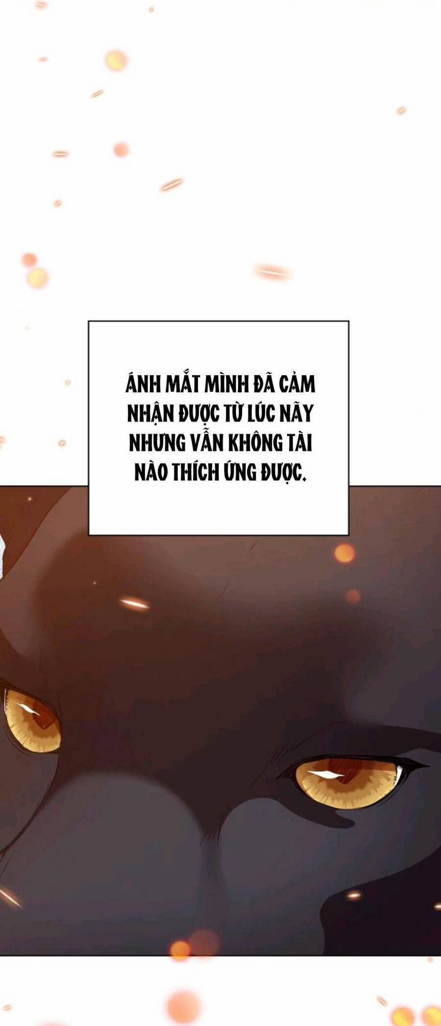 Hoa Dã Thú 12 trang 46