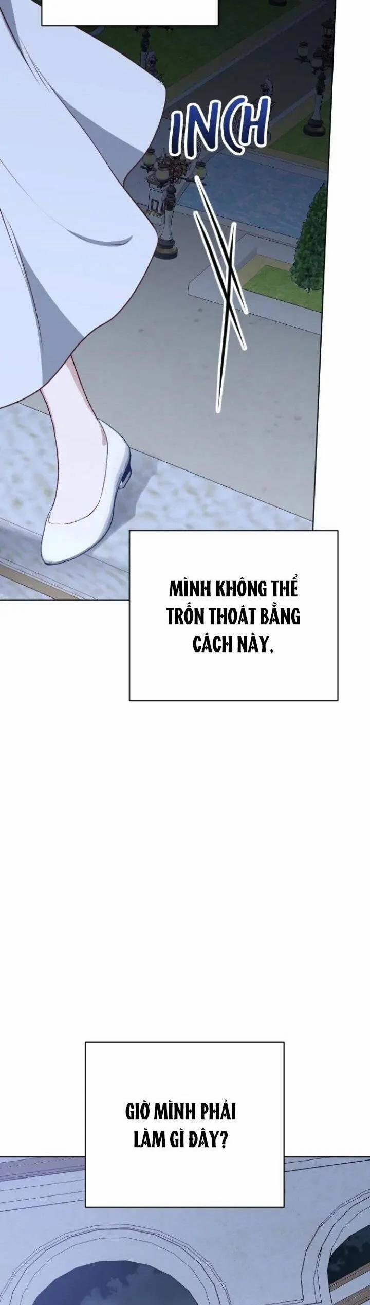 Hoa Dã Thú 41 trang 13