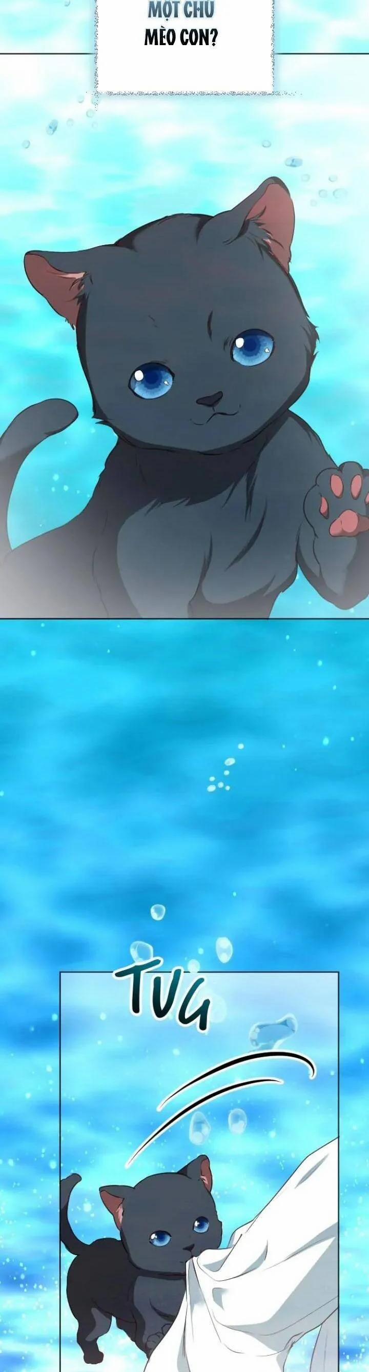 Hoa Dã Thú 50 trang 29