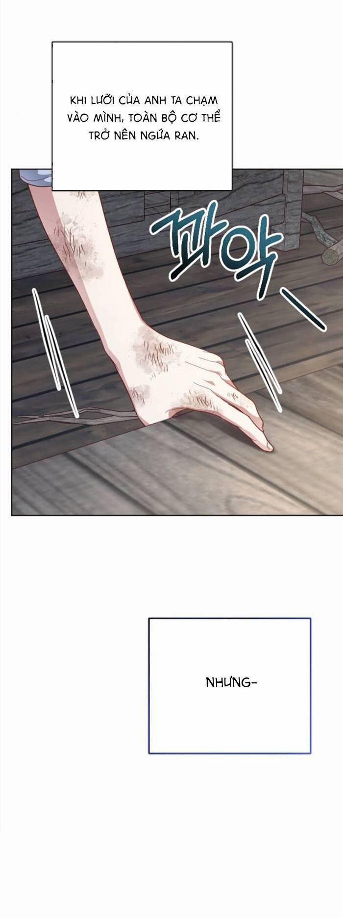 Hoa Dã Thú 8 trang 47