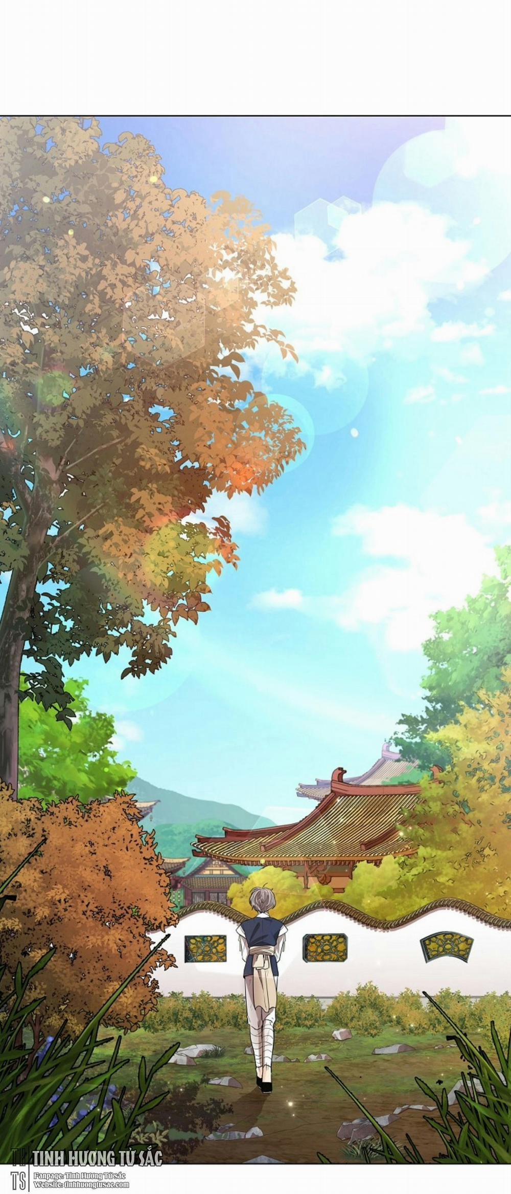 Hoa Giấy 17 trang 5