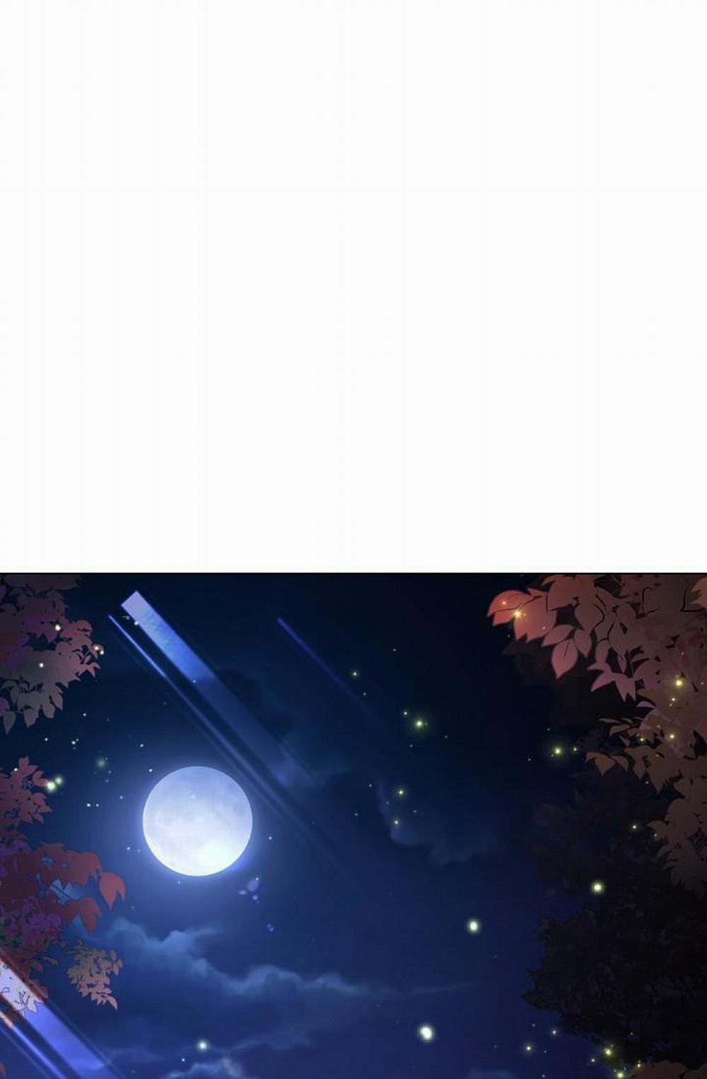 Hoa Giấy 19 trang 0