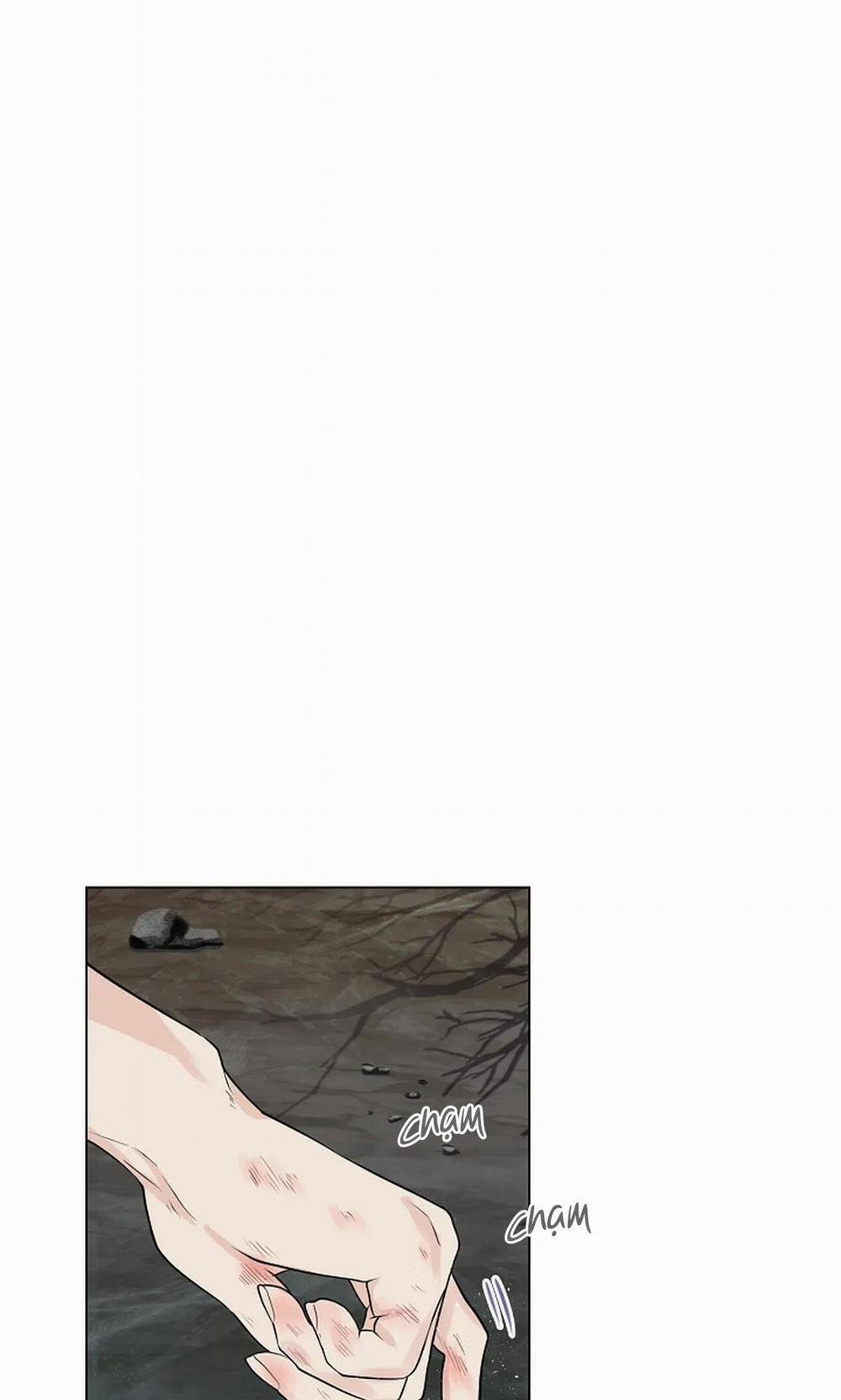 Hoa Giấy 28 trang 6