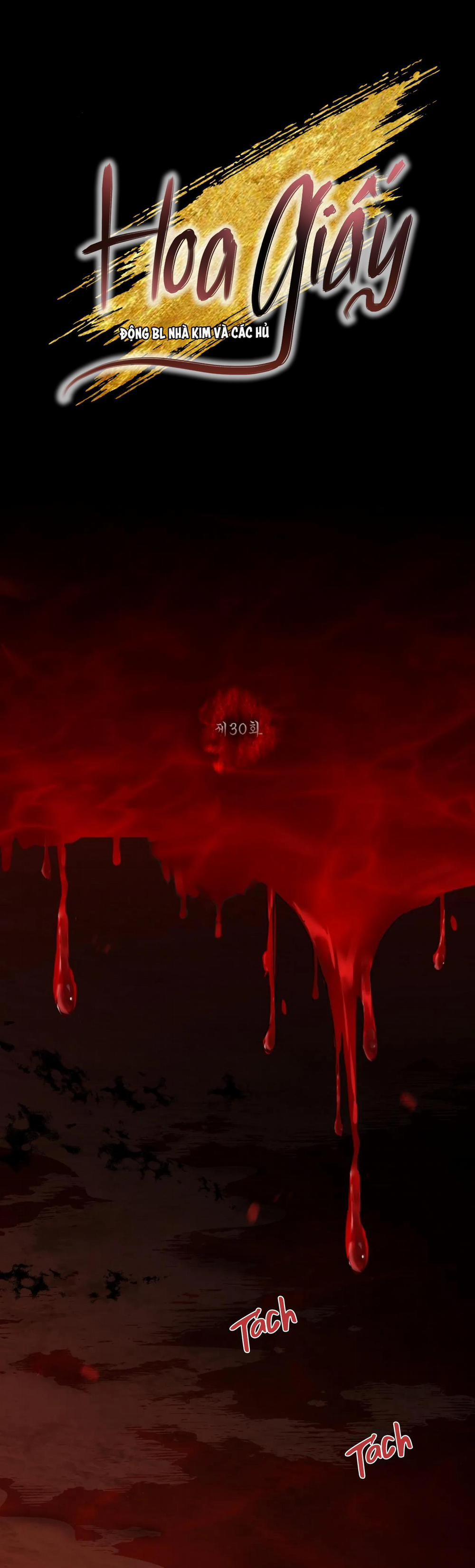 Hoa Giấy 30 trang 0