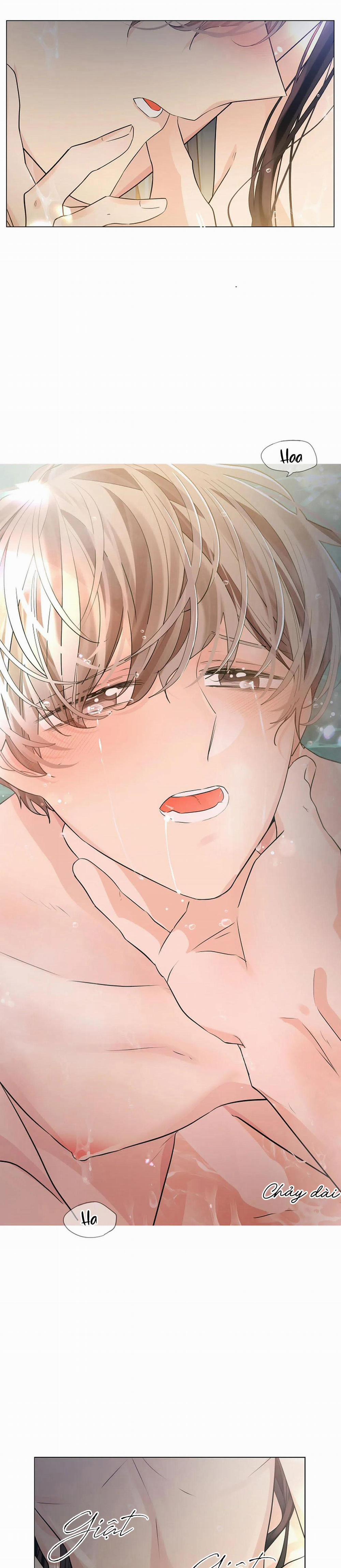 Hoa Giấy 39 trang 6