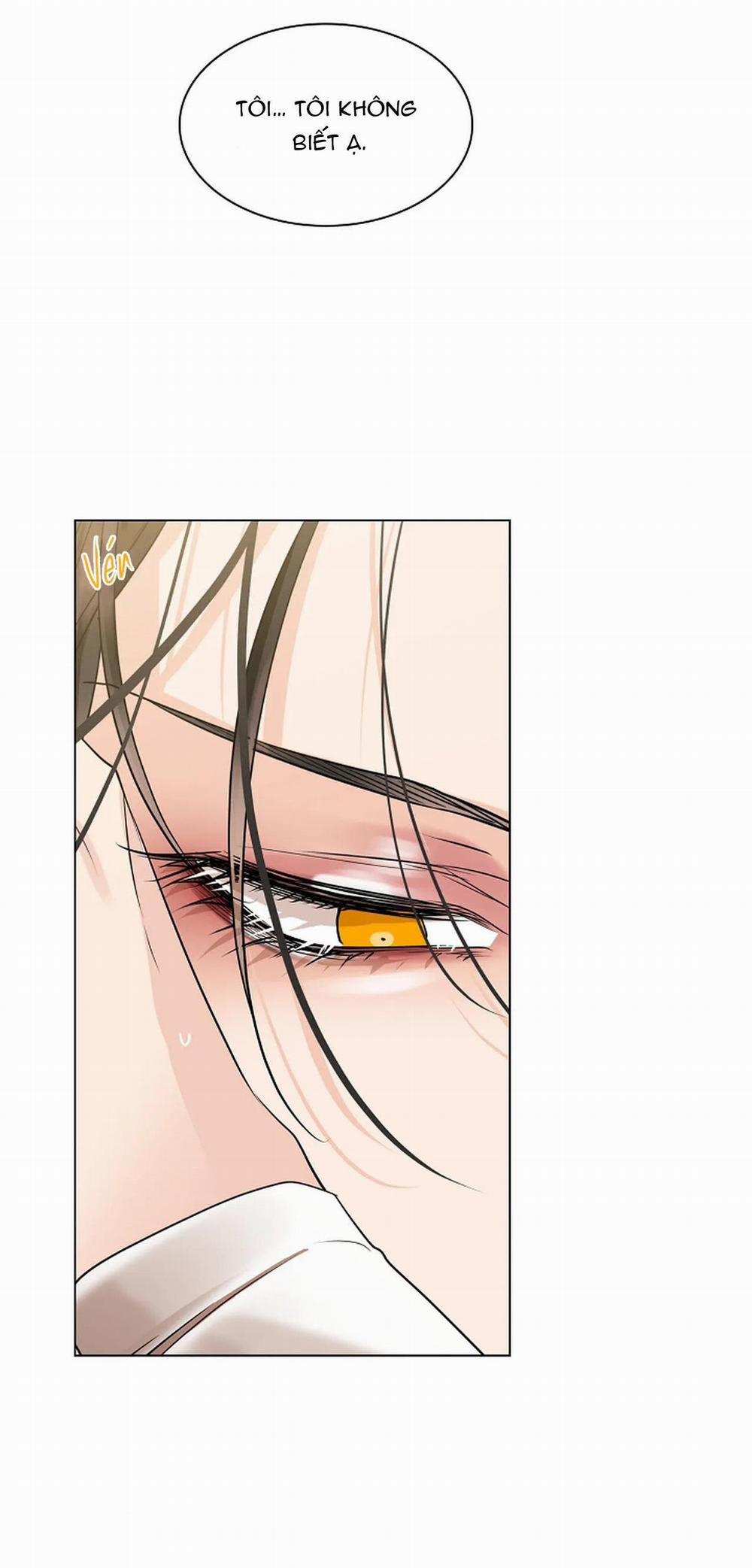 Hoa Giấy 43 trang 35