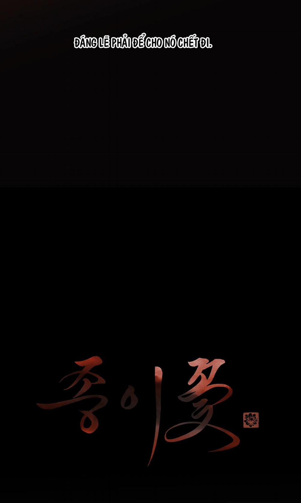 Hoa Giấy 64 trang 18