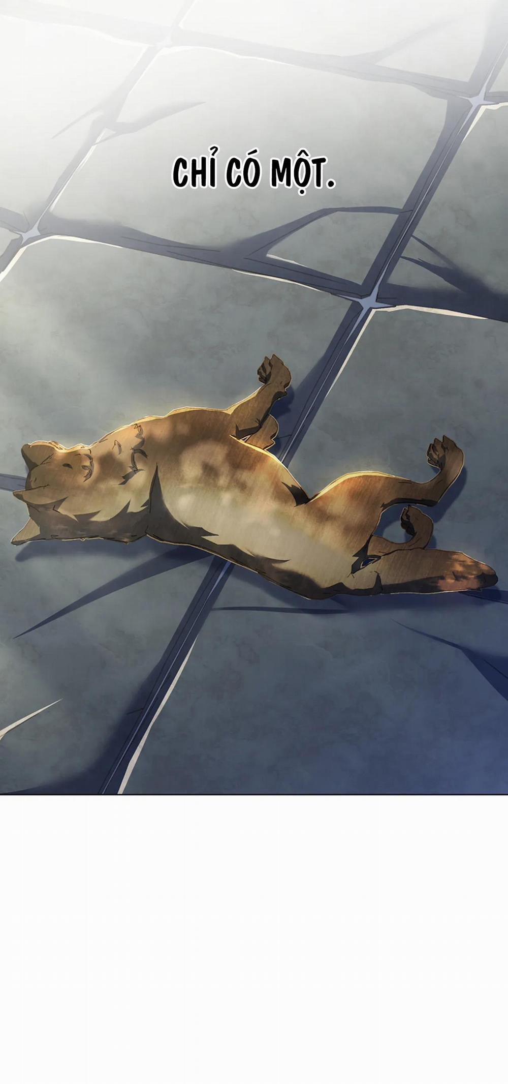 Hoa Giấy 64 trang 44