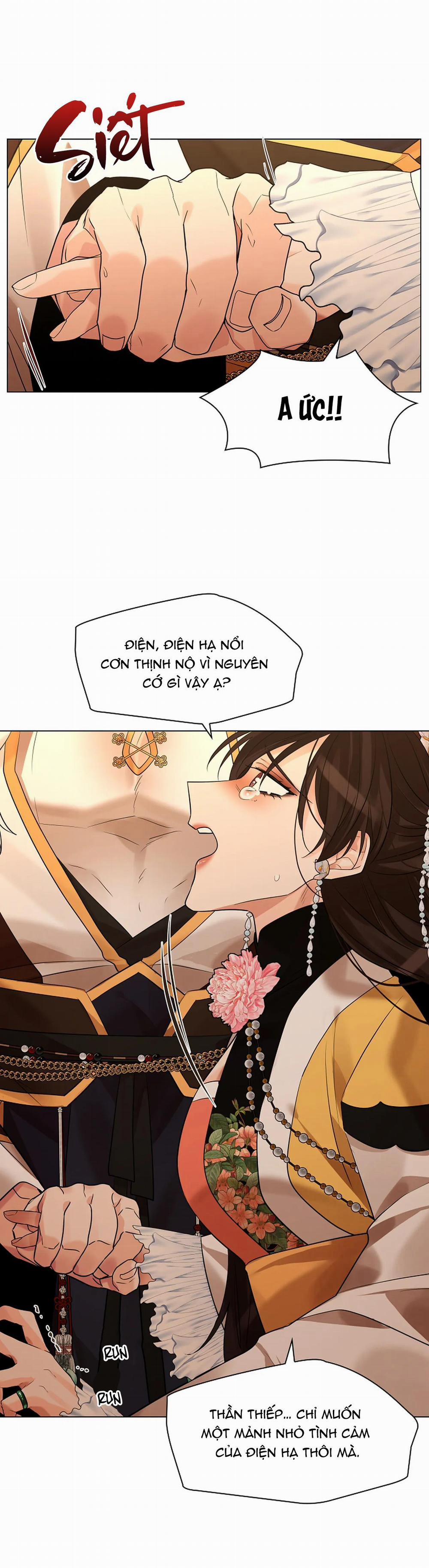 Hoa Giấy 65 trang 36