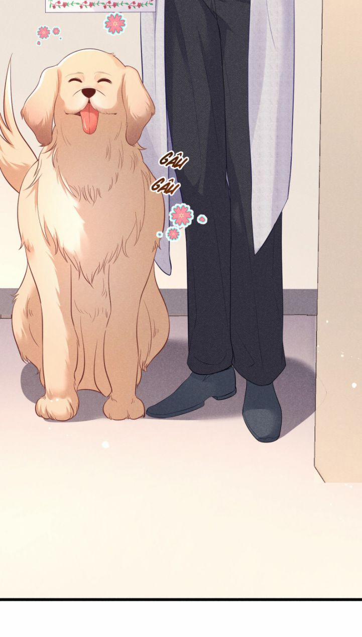 Hoa Hỏa 2 trang 48