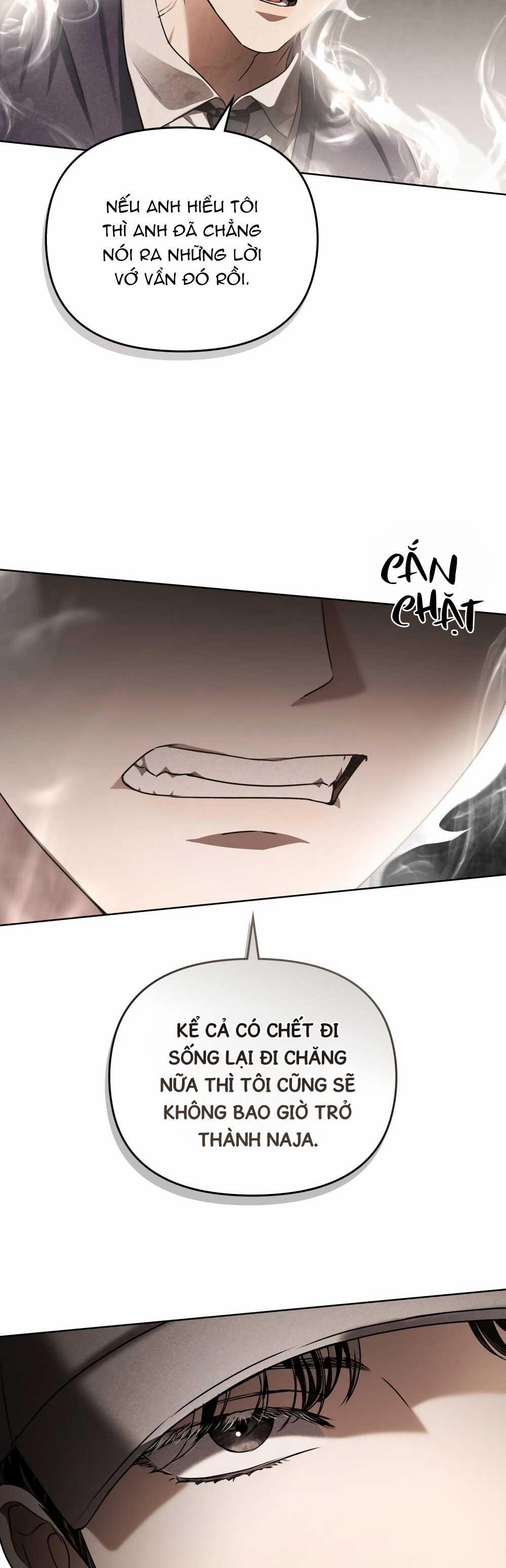 HỎA HỒN 19 trang 33