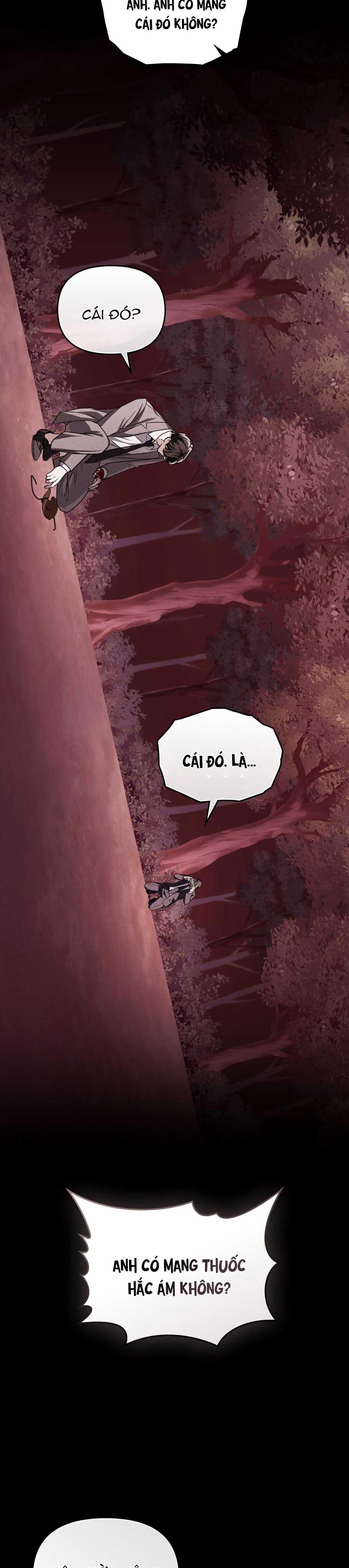 HỎA HỒN 28 trang 19