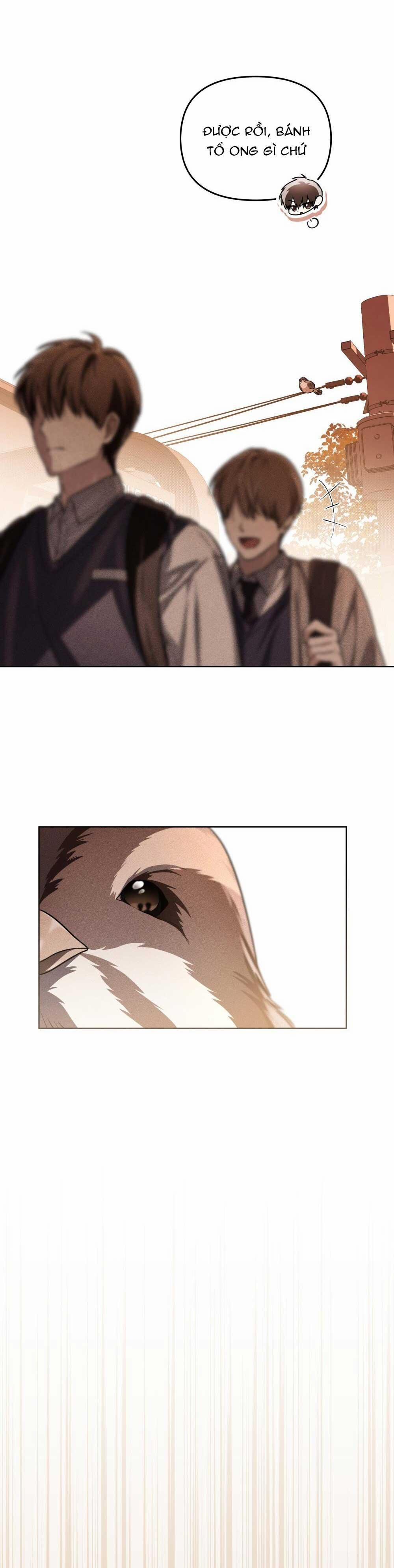 HỎA HỒN 6 trang 49