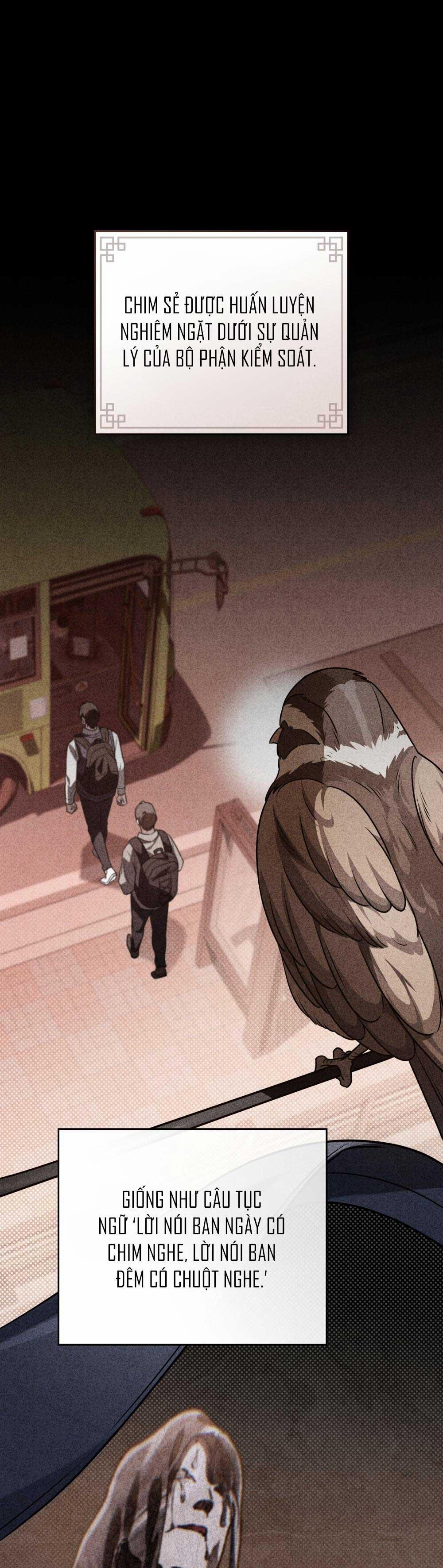 HỎA HỒN 8 trang 0