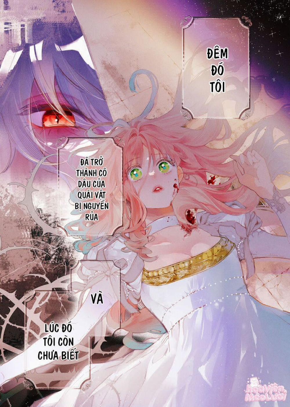 Hoa Hồng Ẩn Giấu Sao Băng 1 trang 2