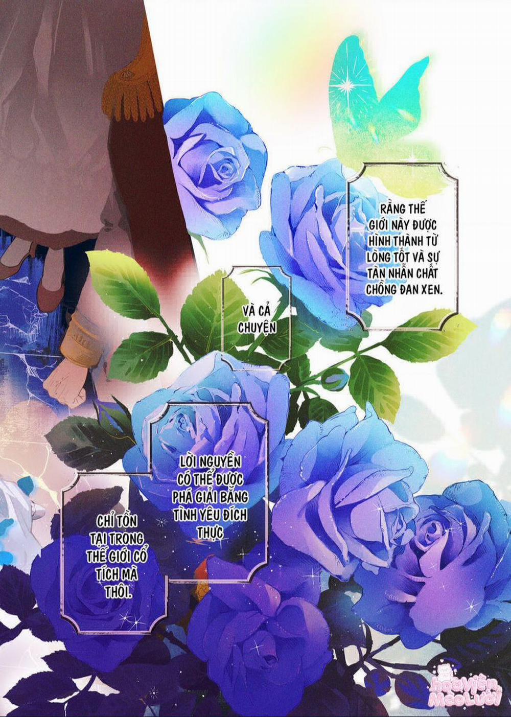 Hoa Hồng Ẩn Giấu Sao Băng 1 trang 3