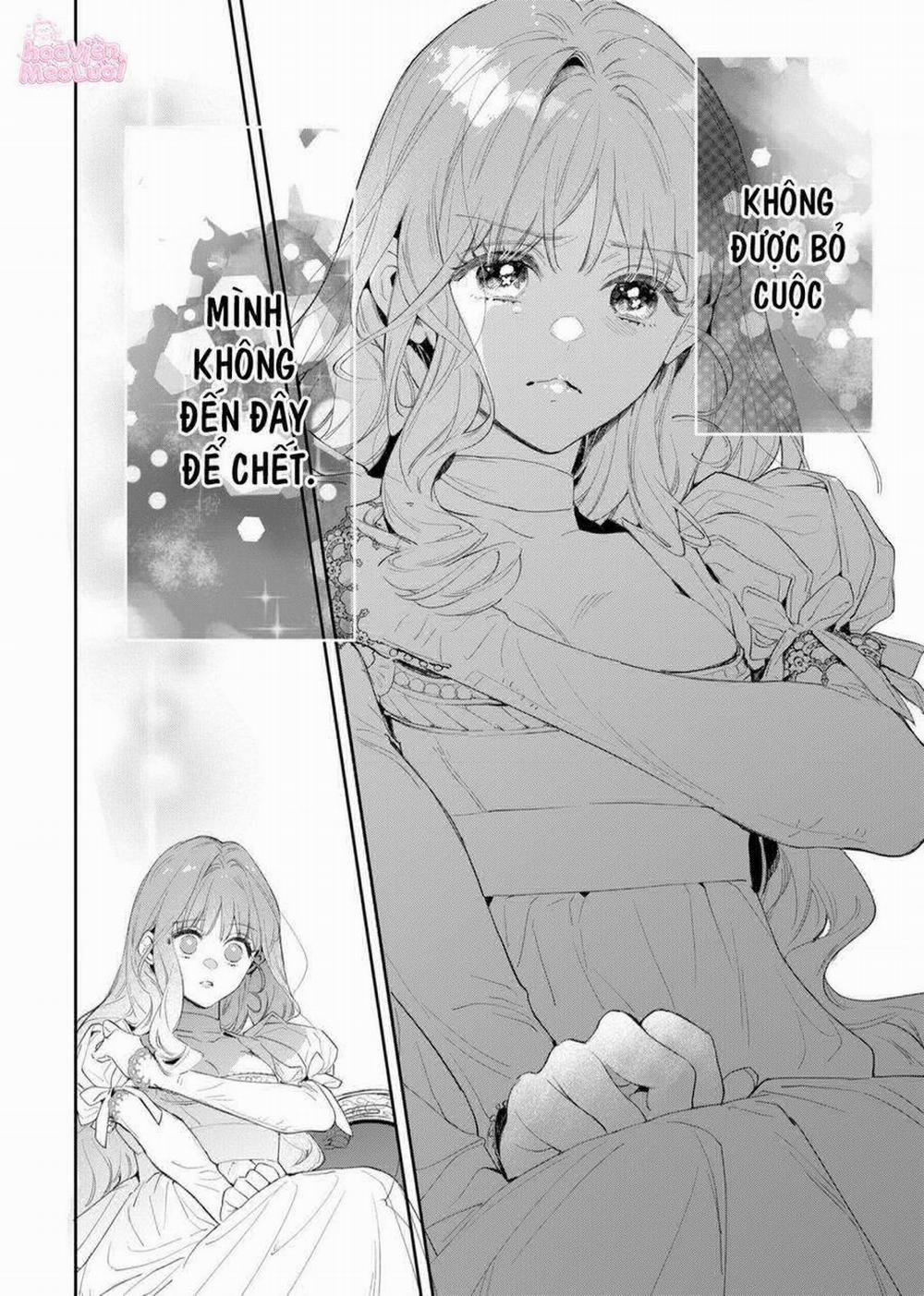 Hoa Hồng Ẩn Giấu Sao Băng 1 trang 37