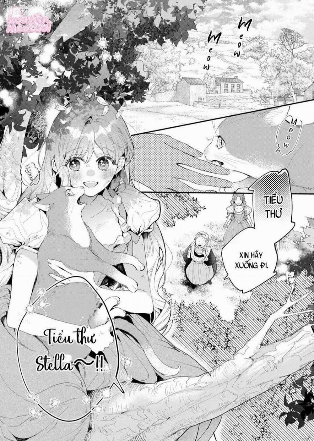 Hoa Hồng Ẩn Giấu Sao Băng 1 trang 6