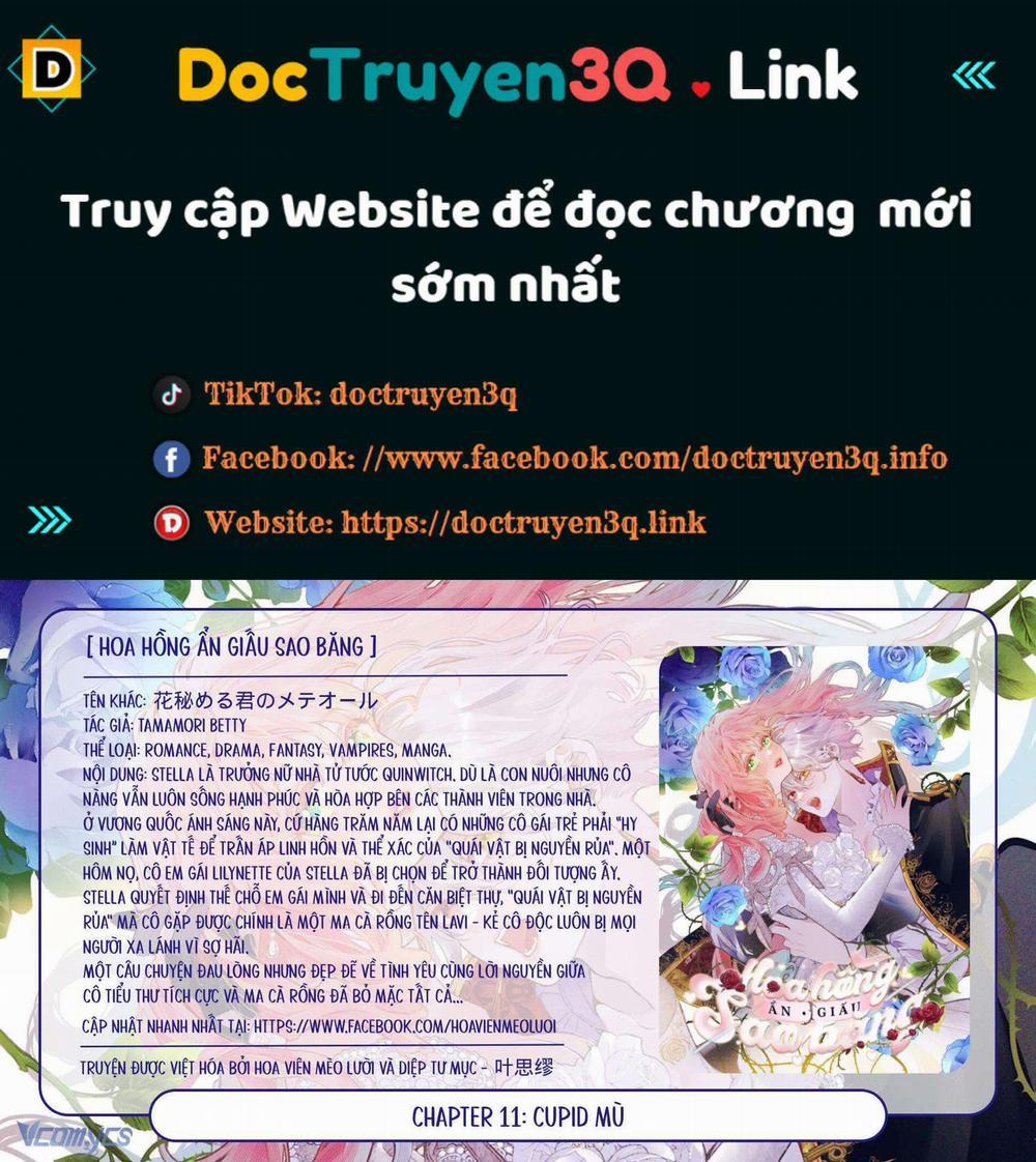 Hoa Hồng Ẩn Giấu Sao Băng 11 trang 0