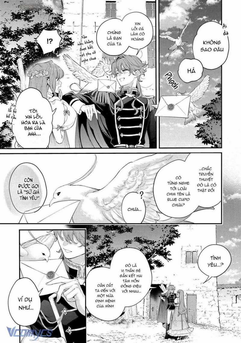 Hoa Hồng Ẩn Giấu Sao Băng 11 trang 10