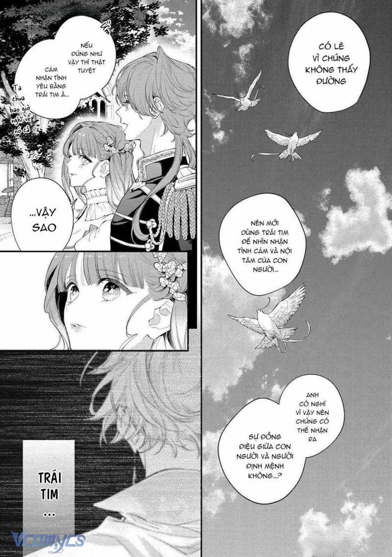 Hoa Hồng Ẩn Giấu Sao Băng 11 trang 13