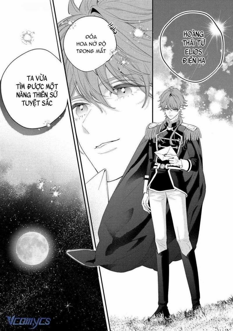 Hoa Hồng Ẩn Giấu Sao Băng 11 trang 19