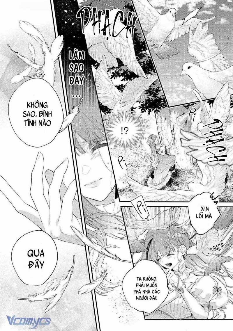 Hoa Hồng Ẩn Giấu Sao Băng 11 trang 6