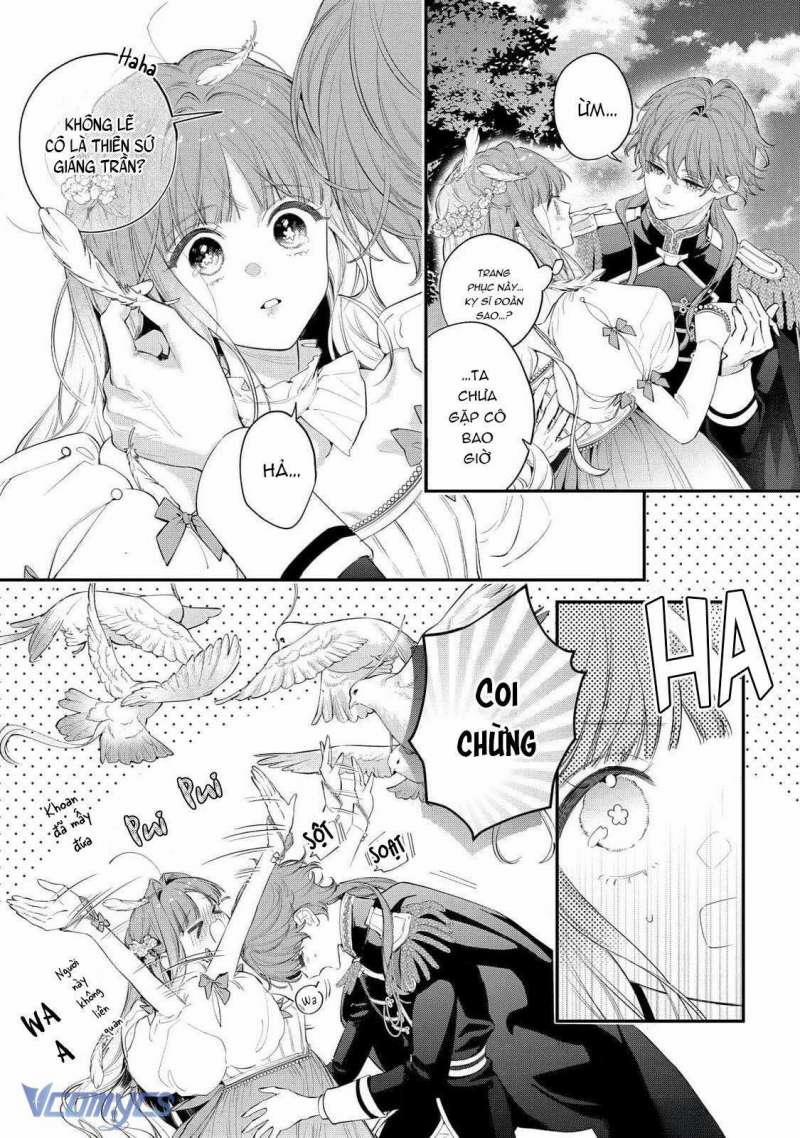 Hoa Hồng Ẩn Giấu Sao Băng 11 trang 9