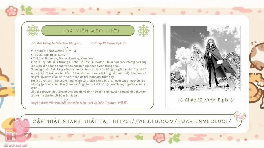 Hoa Hồng Ẩn Giấu Sao Băng 12 trang 1