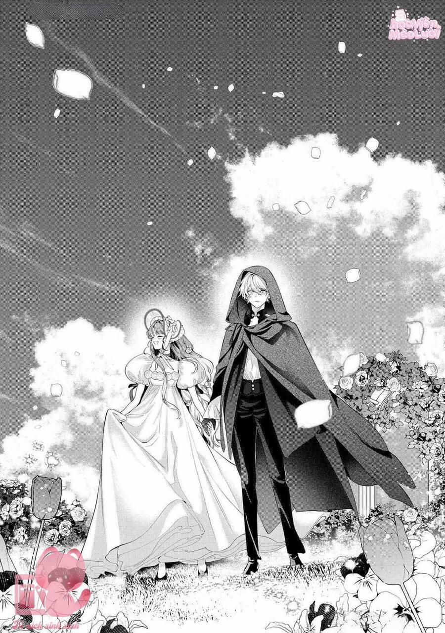 Hoa Hồng Ẩn Giấu Sao Băng 12 trang 11