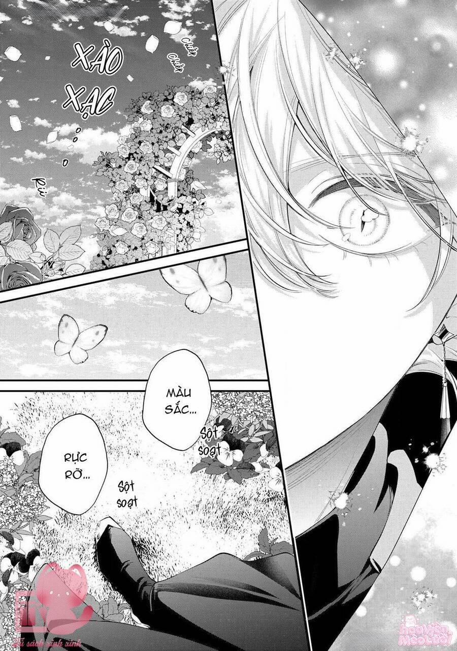 Hoa Hồng Ẩn Giấu Sao Băng 12 trang 12