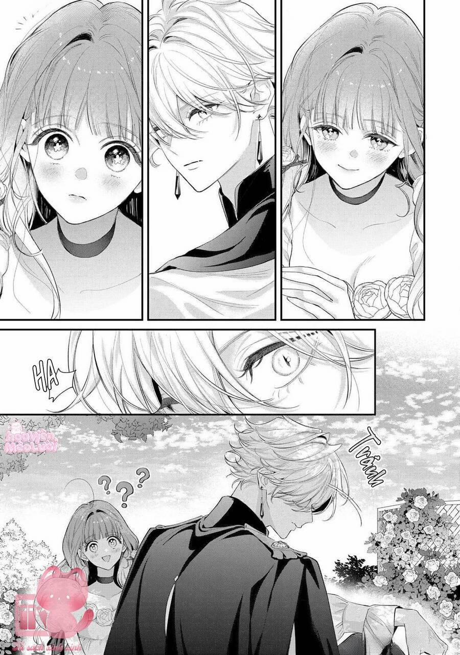 Hoa Hồng Ẩn Giấu Sao Băng 12 trang 19