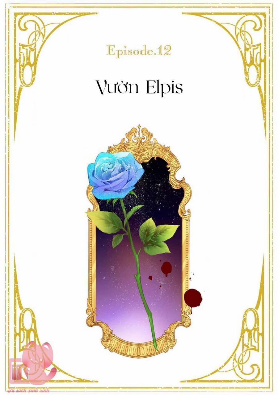 Hoa Hồng Ẩn Giấu Sao Băng 12 trang 2