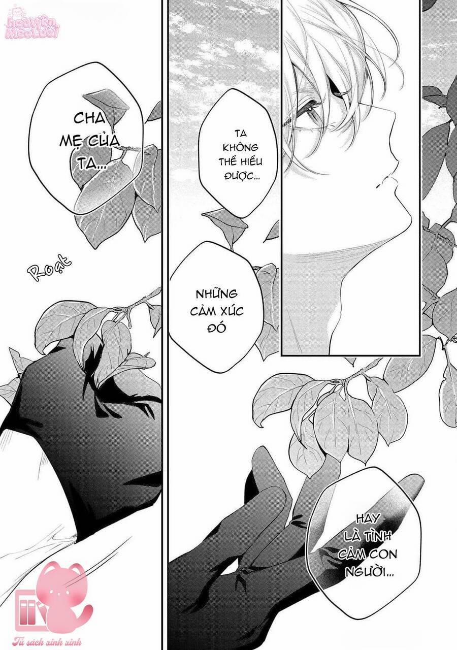 Hoa Hồng Ẩn Giấu Sao Băng 12 trang 32