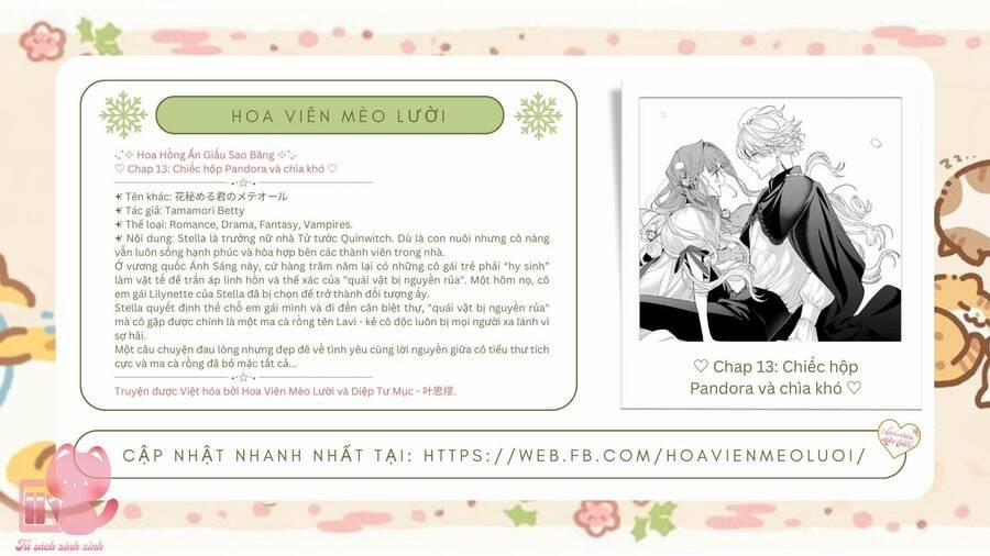 Hoa Hồng Ẩn Giấu Sao Băng 13 trang 1