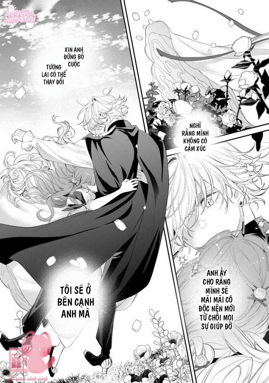 Hoa Hồng Ẩn Giấu Sao Băng 13 trang 15