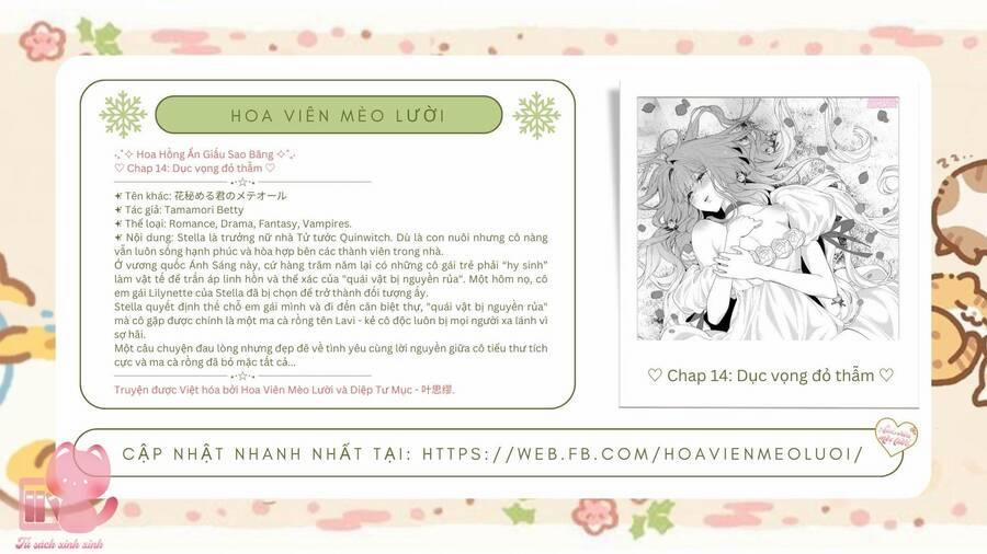 Hoa Hồng Ẩn Giấu Sao Băng 14 trang 1