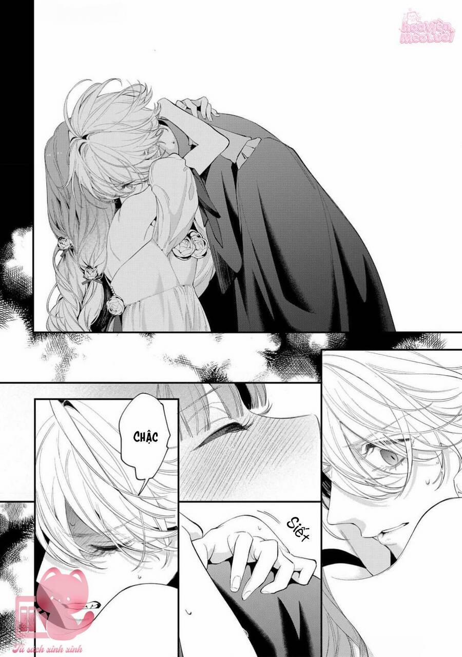 Hoa Hồng Ẩn Giấu Sao Băng 14 trang 12