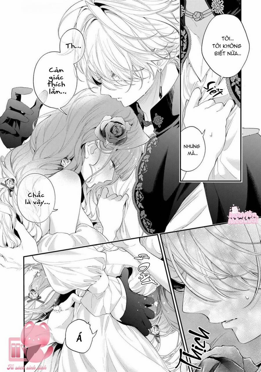 Hoa Hồng Ẩn Giấu Sao Băng 14 trang 16