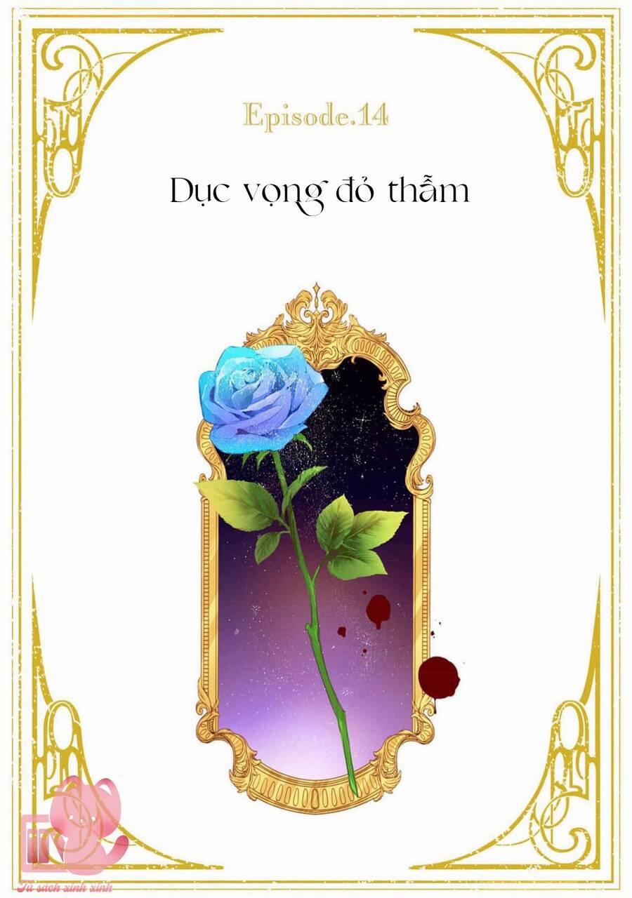 Hoa Hồng Ẩn Giấu Sao Băng 14 trang 2